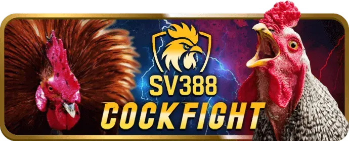 Tin tức casino ab77 login
